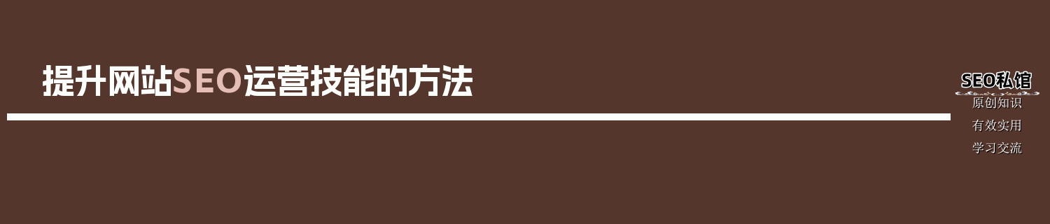 提升网站SEO运营技能的方法