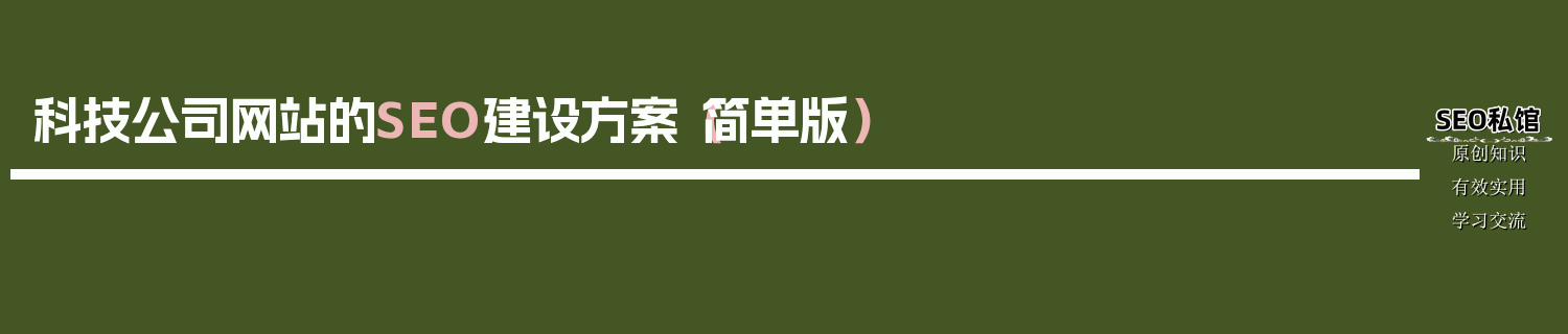 科技公司网站的SEO建设方案（简单版）