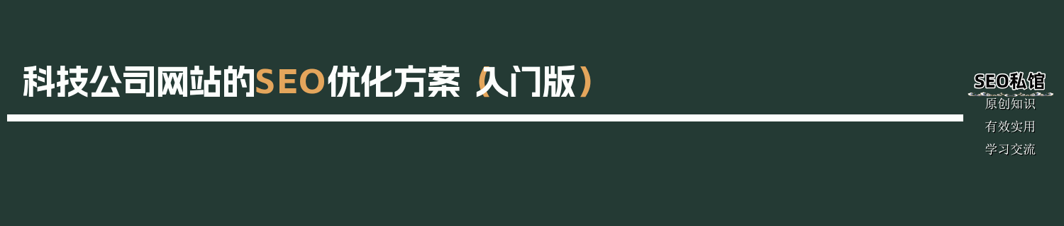 科技公司网站的SEO优化方案（入门版）