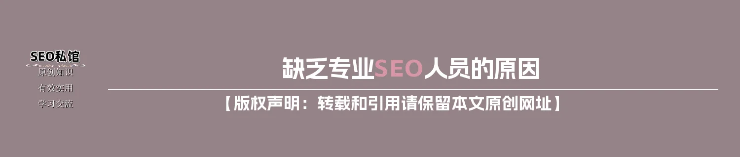 缺乏专业SEO人员的原因