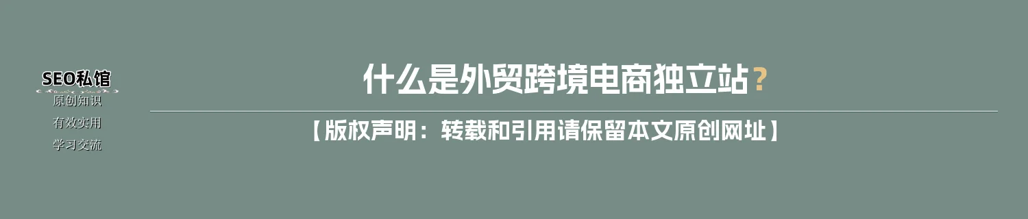 什么是外贸跨境电商独立站？