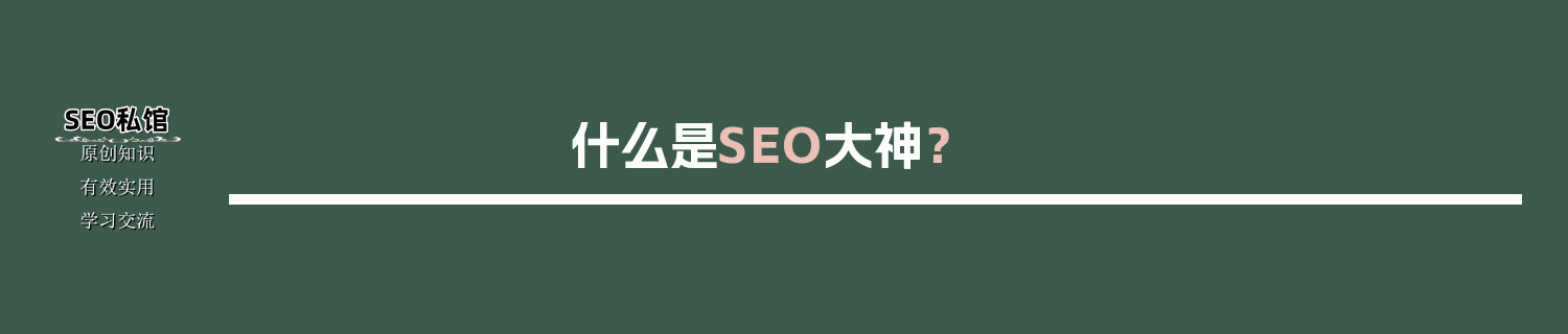 什么是SEO大神？