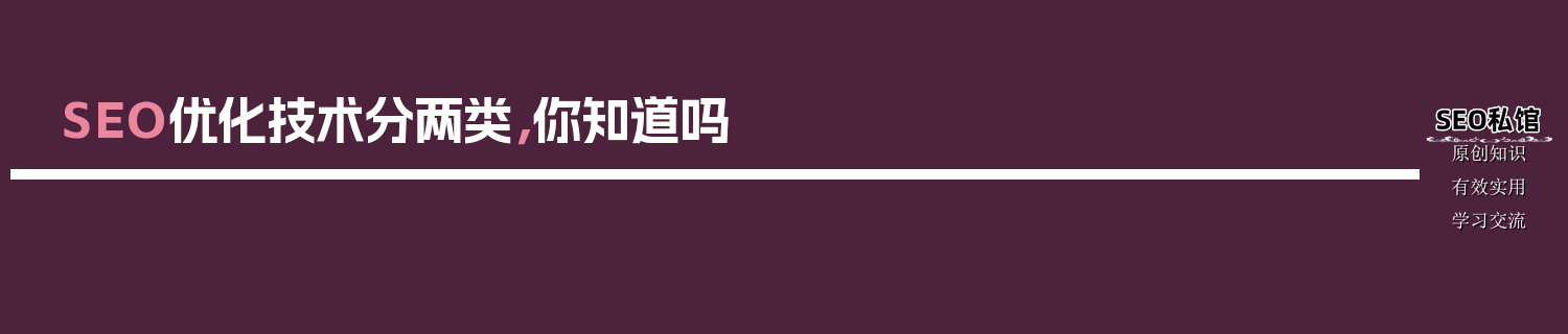 SEO优化技术分两类，你知道吗