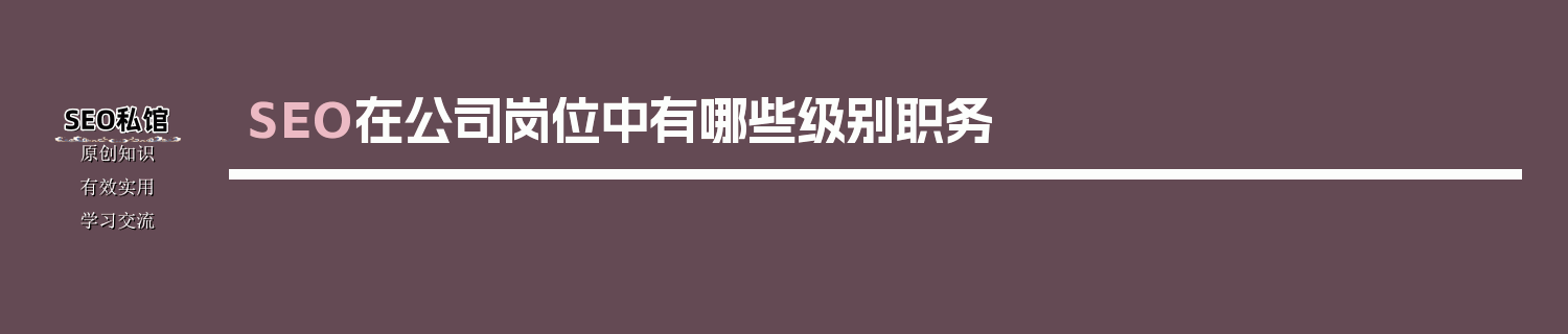SEO在公司岗位中有哪些级别职务