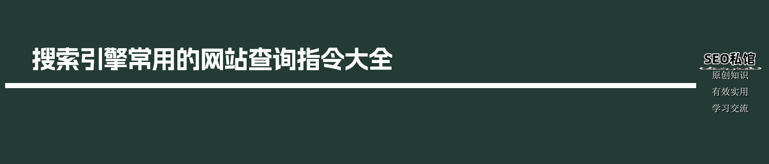 搜索引擎常用的网站查询指令大全