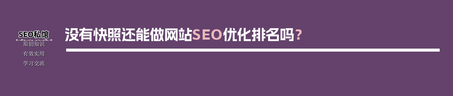没有快照还能做网站SEO优化排名吗？
