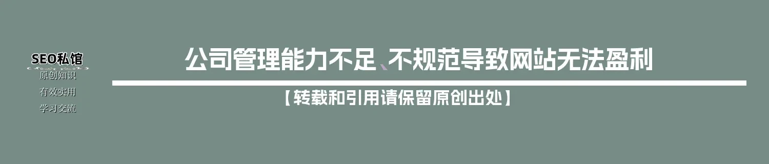 公司管理能力不足、不规范导致网站无法盈利