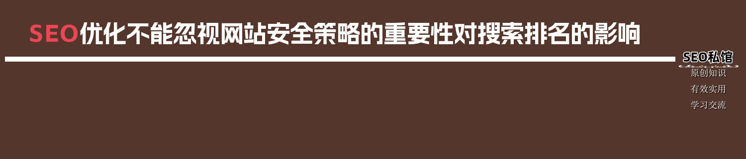 SEO优化不能忽视网站安全策略的重要性对搜索排名的影响