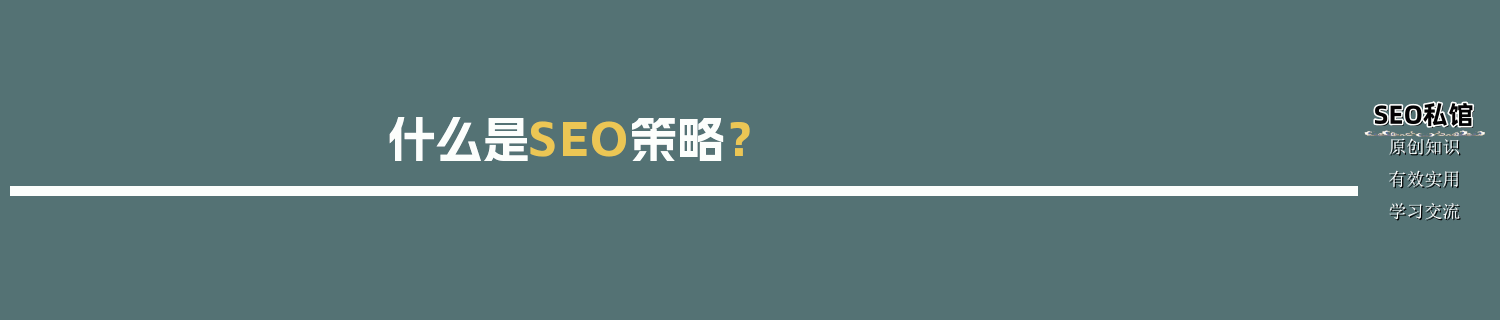 什么是SEO策略？