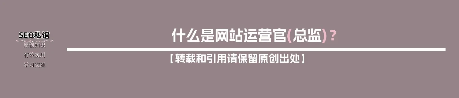 什么是网站运营官(总监)？