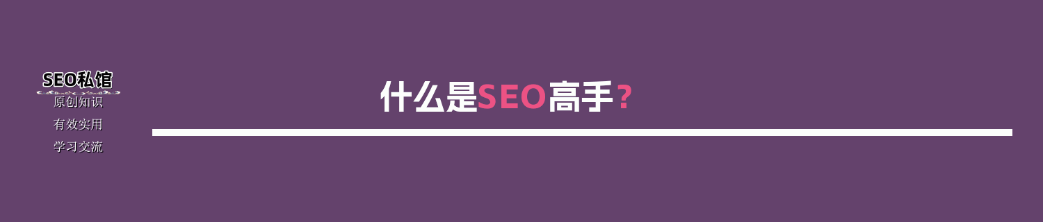 什么是SEO高手？
