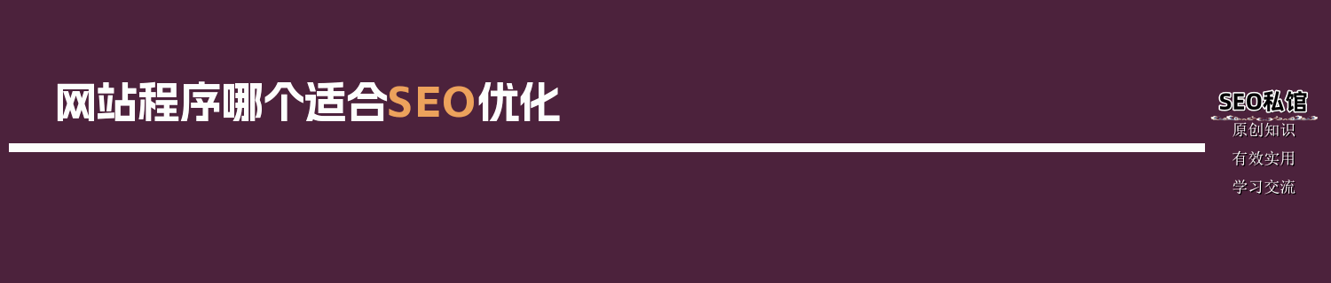 网站程序哪个适合SEO优化