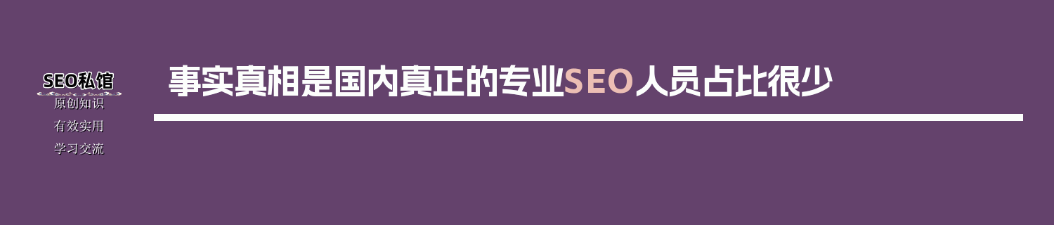 事实真相是国内真正的专业SEO人员占比很少