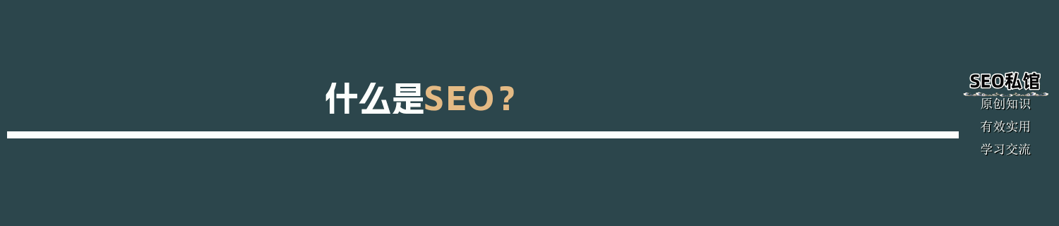 什么是SEO？