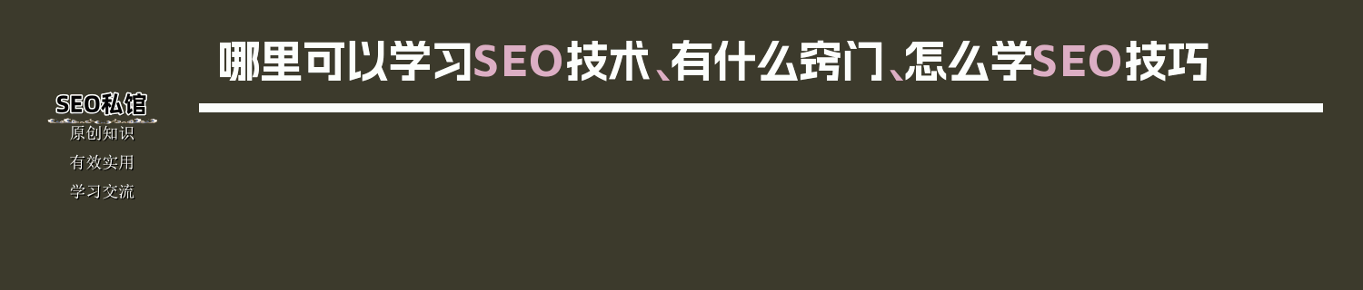 哪里可以学习SEO技术、有什么窍门、怎么学SEO技巧