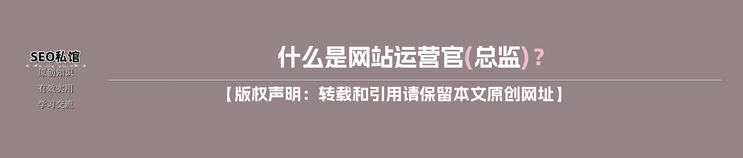 什么是网站运营官(总监)？
