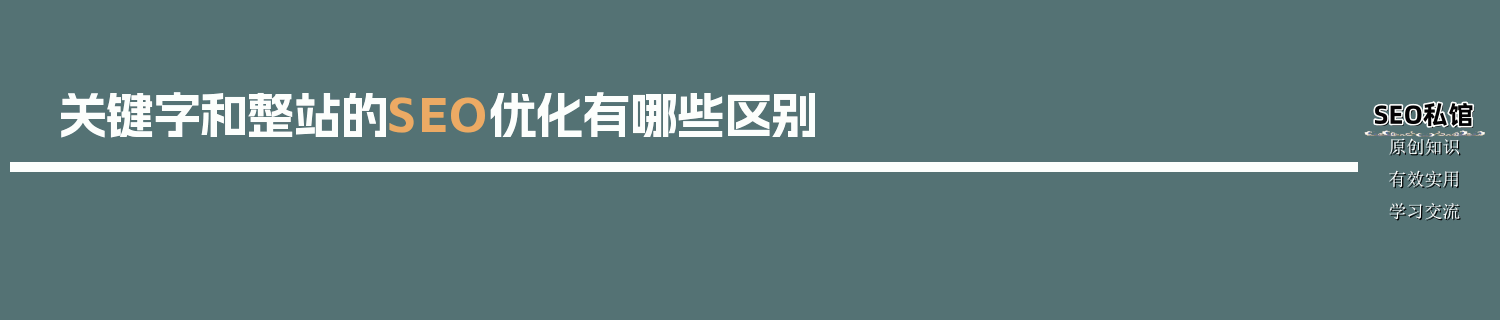 关键字和整站的SEO优化有哪些区别