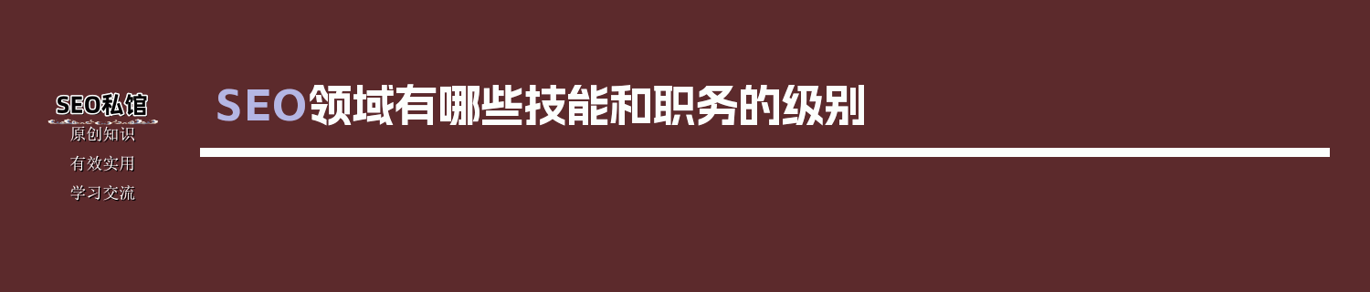 SEO领域有哪些技能和职务的级别