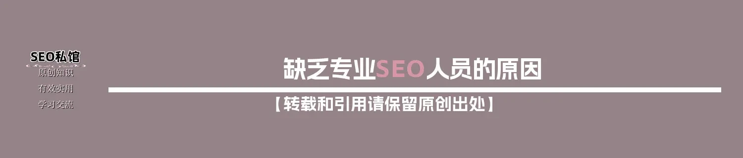 缺乏专业SEO人员的原因