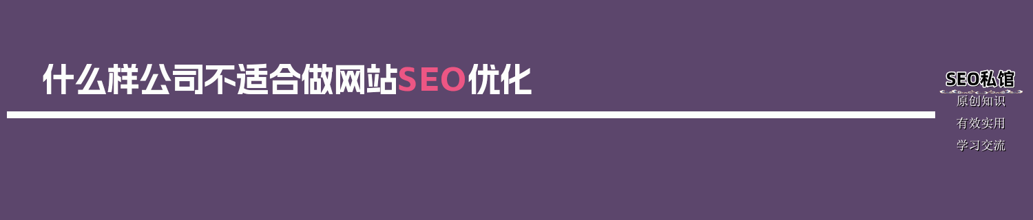 什么样公司不适合做网站SEO优化