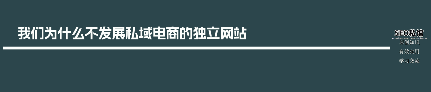 我们为什么不发展私域电商的独立网站