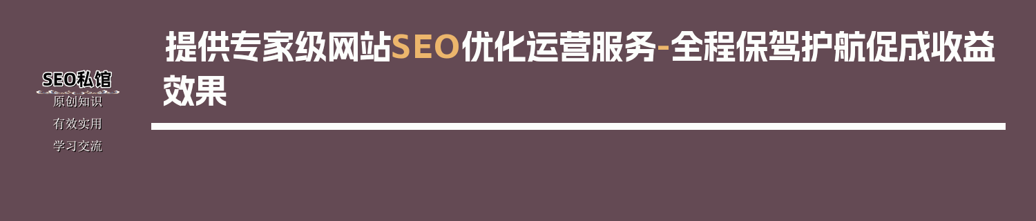 提供专家级网站SEO优化运营服务-全程保驾护航促成收益效果