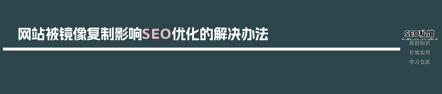 网站被镜像复制影响SEO优化的解决办法