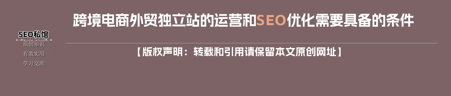 跨境电商外贸独立站的运营和SEO优化需要具备的条件