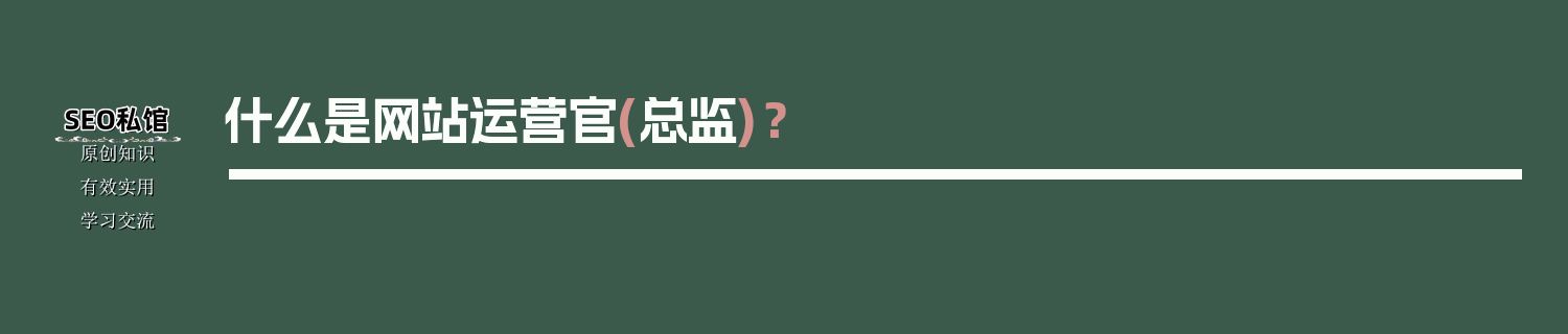 什么是网站运营官(总监)？