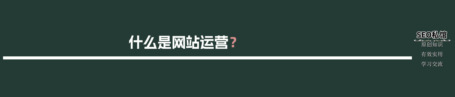 什么是网站运营？