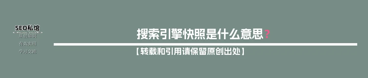 搜索引擎快照是什么意思？