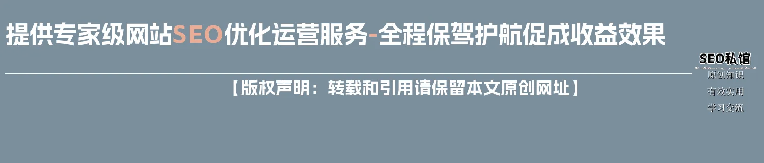 提供专家级网站SEO优化运营服务-全程保驾护航促成收益效果