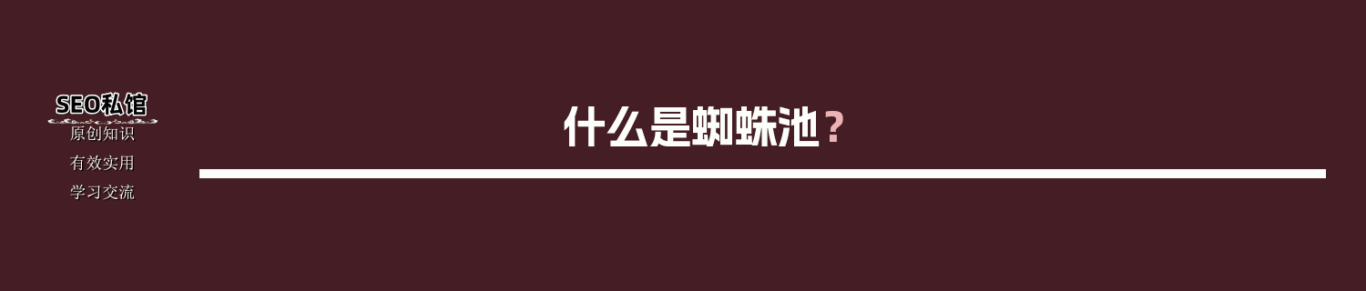 什么是蜘蛛池？