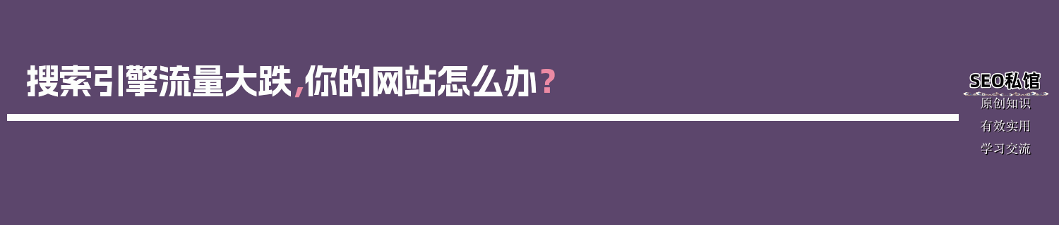搜索引擎流量大跌，你的网站怎么办？