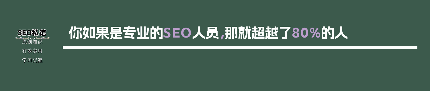 你如果是专业的SEO人员，那就超越了80%的人