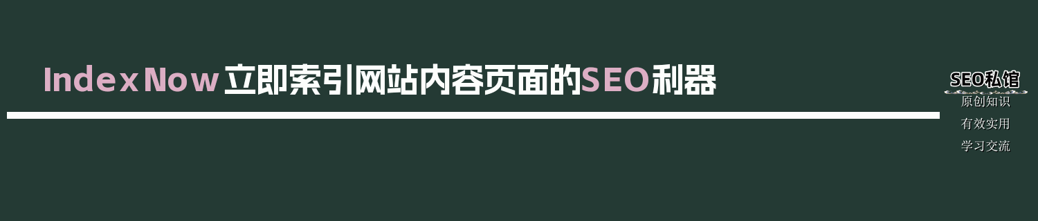 IndexNow立即索引网站内容页面的SEO利器