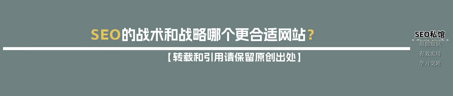 SEO的战术和战略哪个更合适网站？