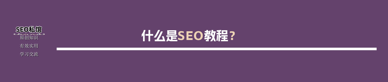 什么是SEO教程？