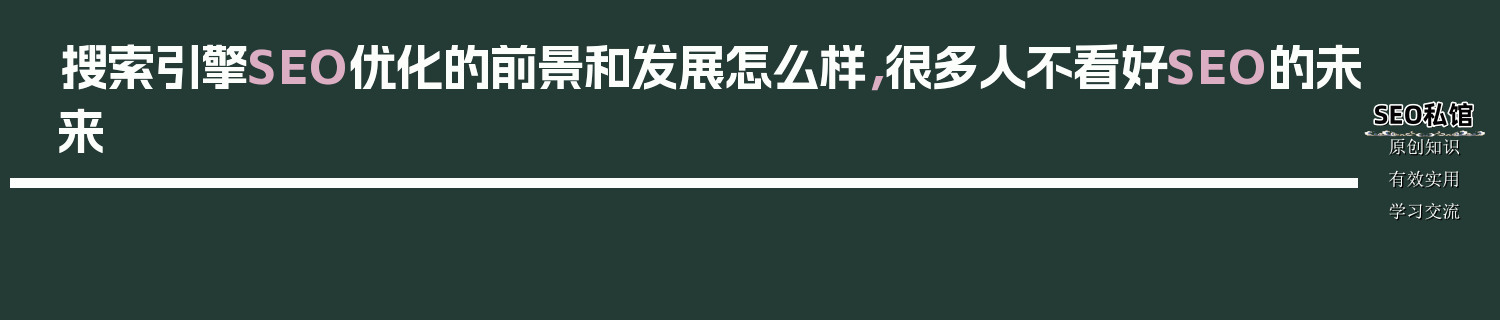 搜索引擎SEO优化的前景和发展怎么样，很多人不看好SEO的未来