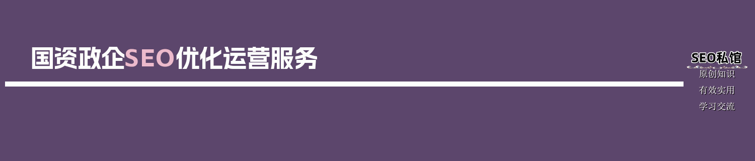 国资政企SEO优化运营服务