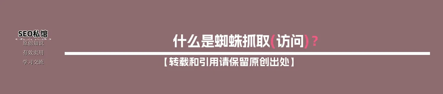 什么是蜘蛛抓取(访问)？