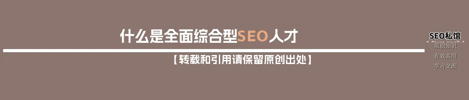 什么是全面综合型SEO人才