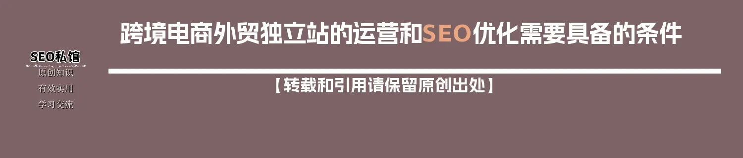 跨境电商外贸独立站的运营和SEO优化需要具备的条件