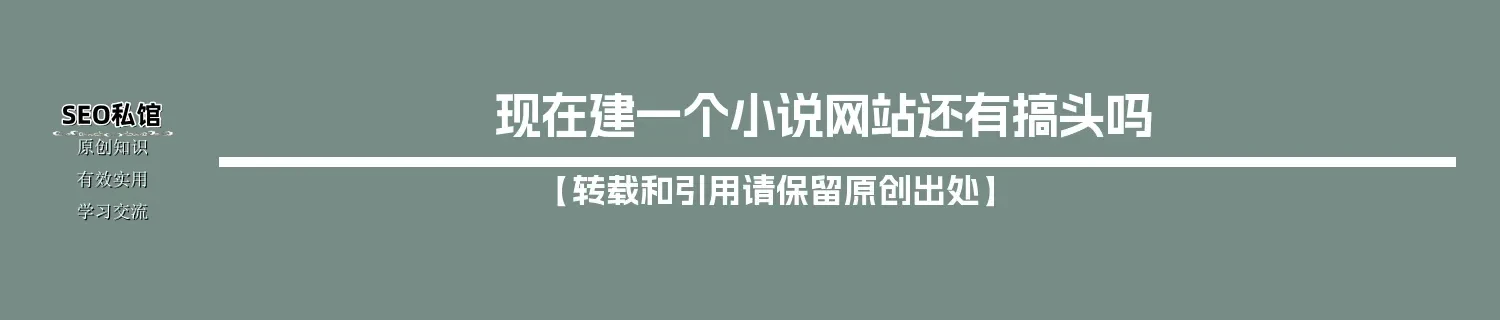 现在建一个小说网站还有搞头吗