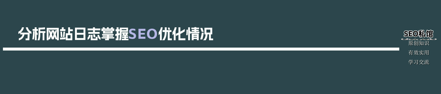 分析网站日志掌握SEO优化情况
