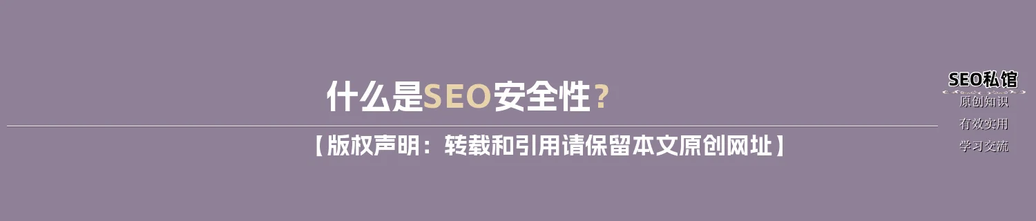 什么是SEO安全性？