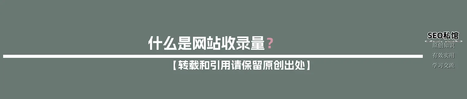 什么是网站收录量？