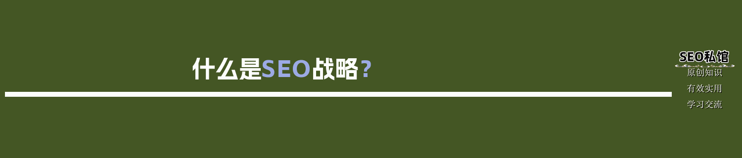 什么是SEO战略？