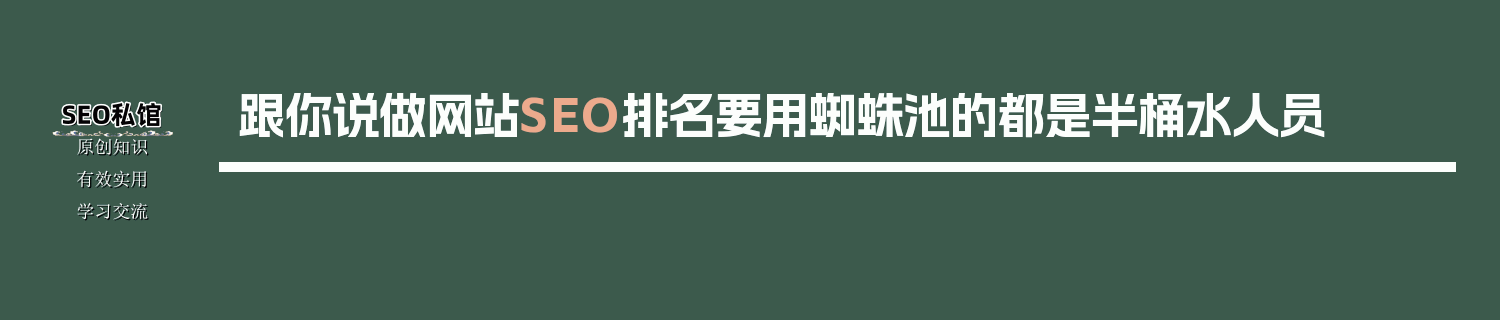 跟你说做网站SEO排名要用蜘蛛池的都是半桶水人员
