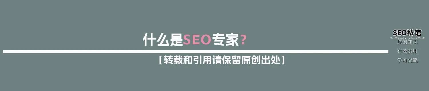 什么是SEO专家? 什么是SEO专家?